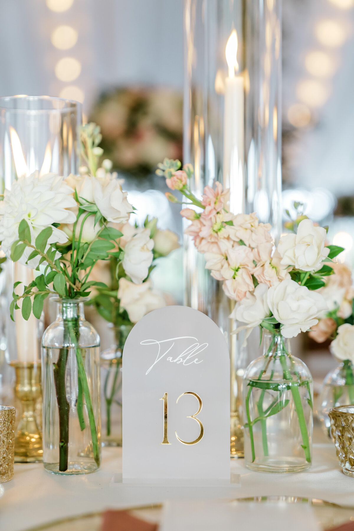 Megan Noll  Raslan - Reception-86