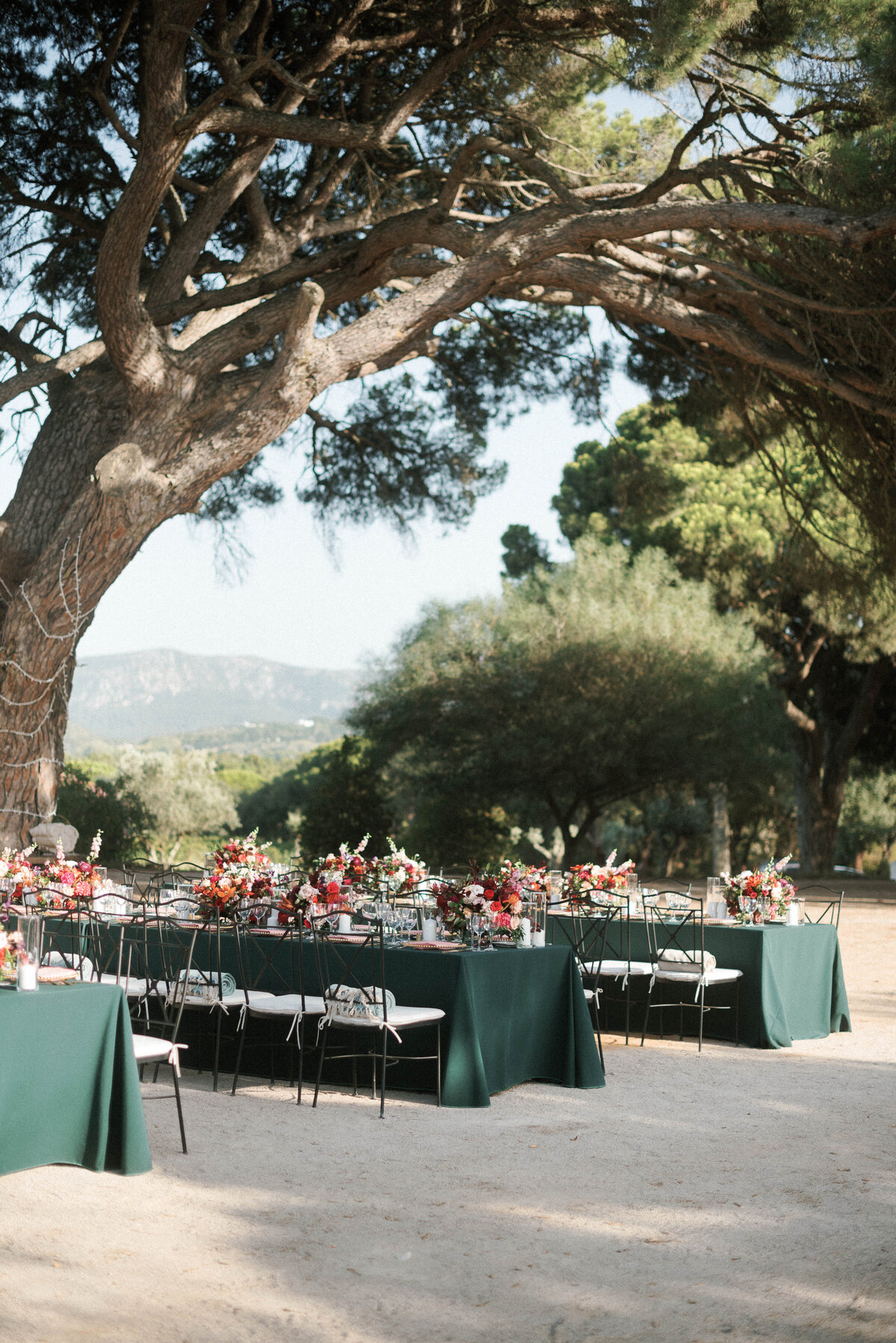 Les Anagnou_wed_31082019_Stephanie_Garrett_815