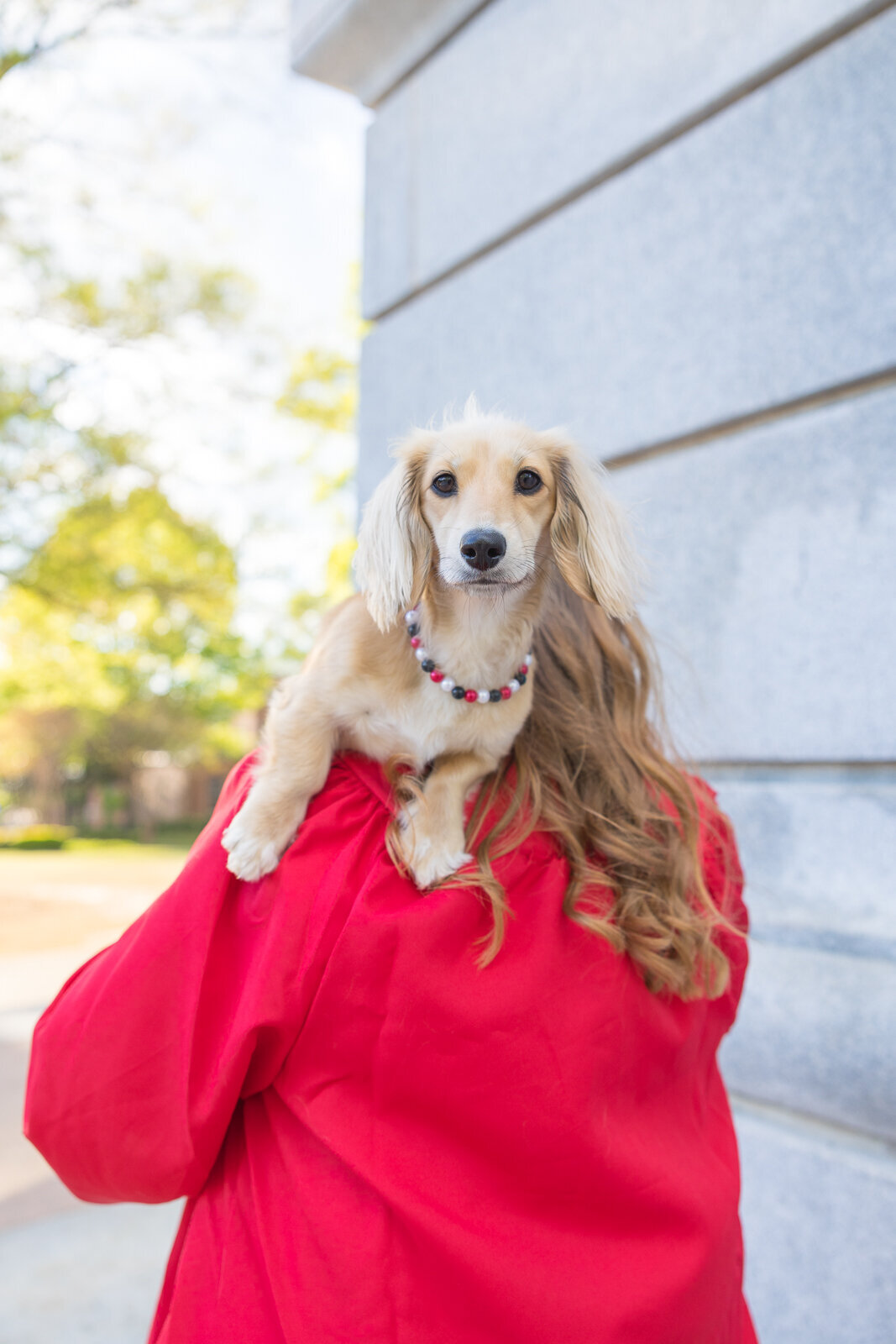 NorthCarolinaStateUniversityGraduationPhotos-0528