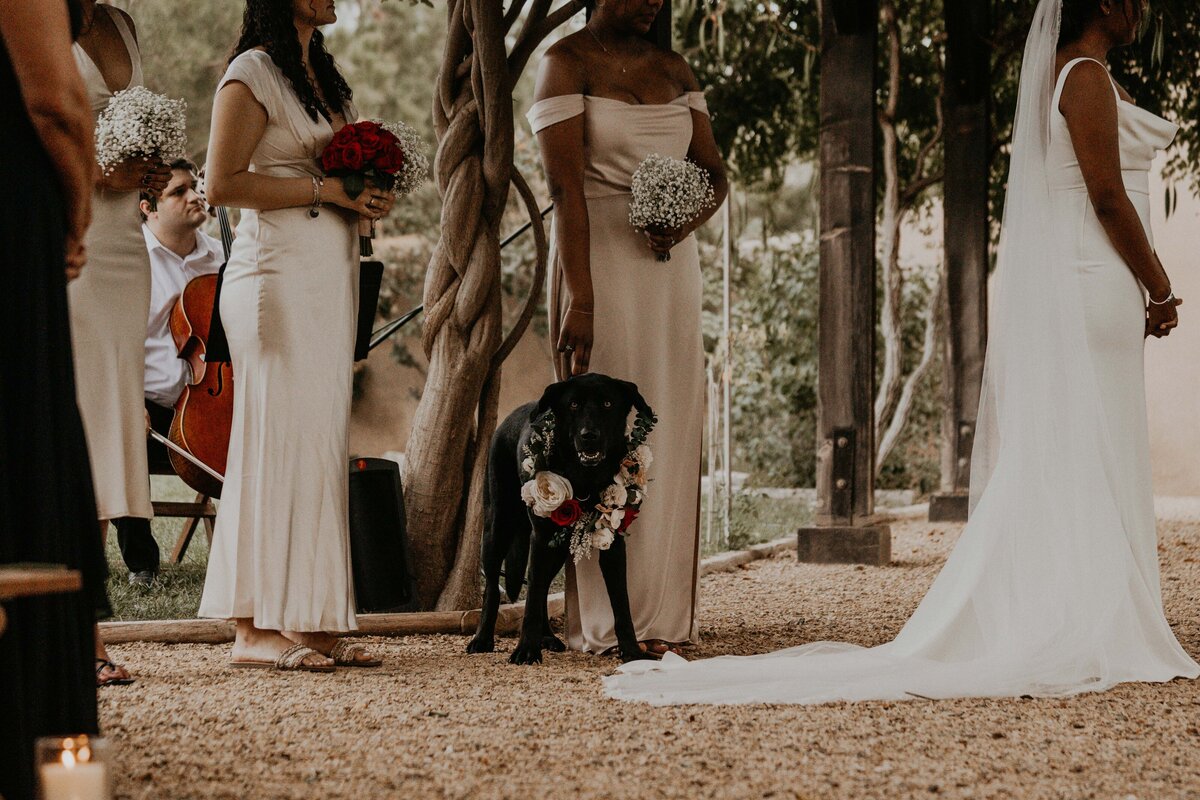 casa-perea-art-space-wedding-corrales-new-mexico-25