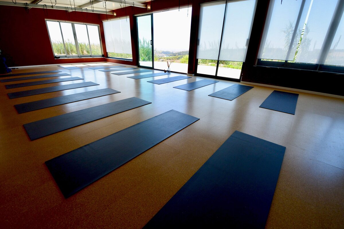Yoga ShalaRender 13