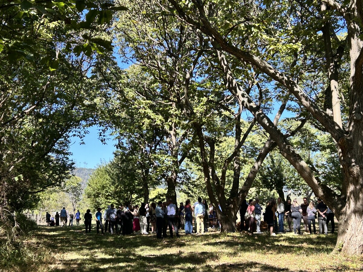 Photo Oct 05 2025, 12 15 33 PM