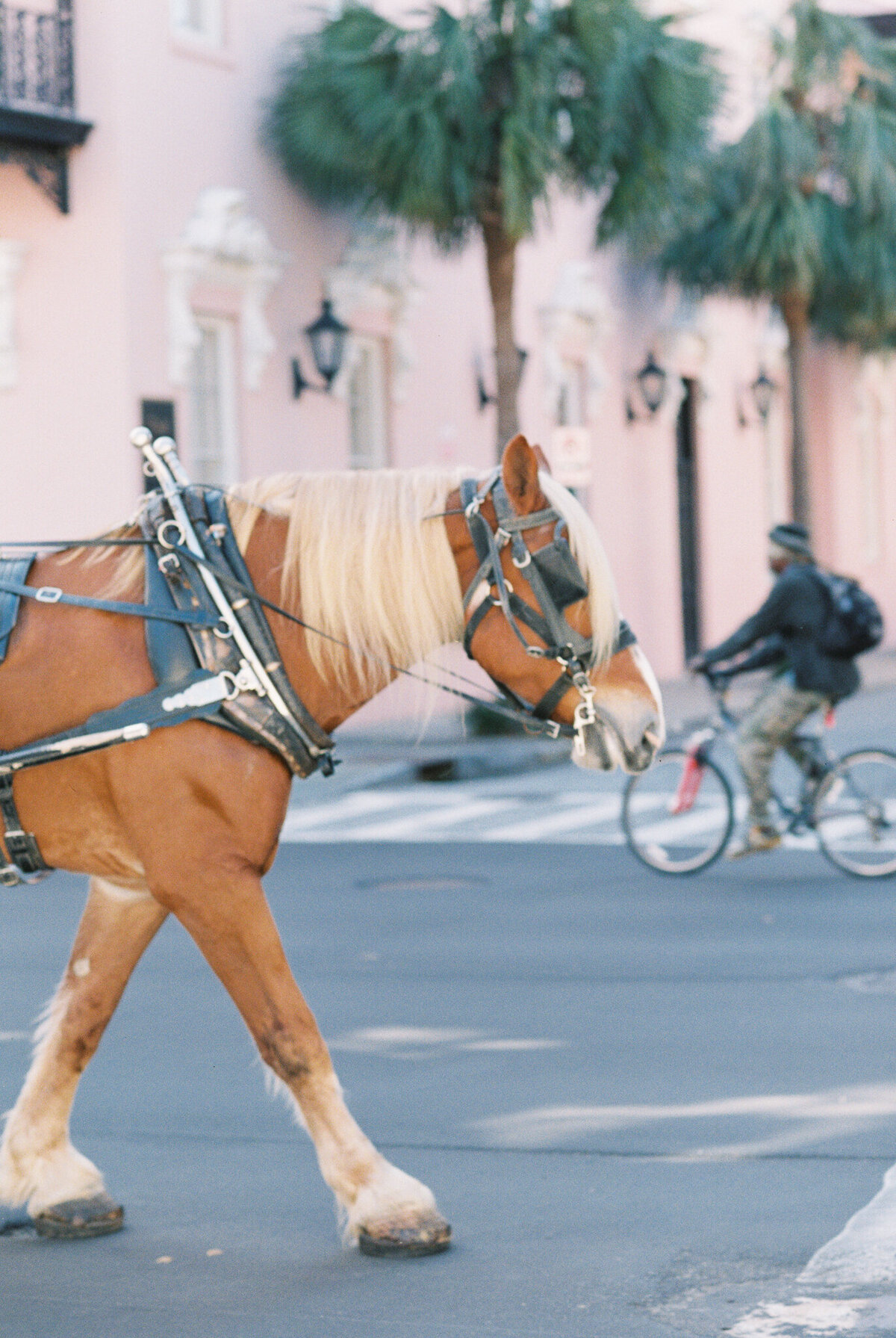 Charleston horse and buggy ride at The Mills Hotel