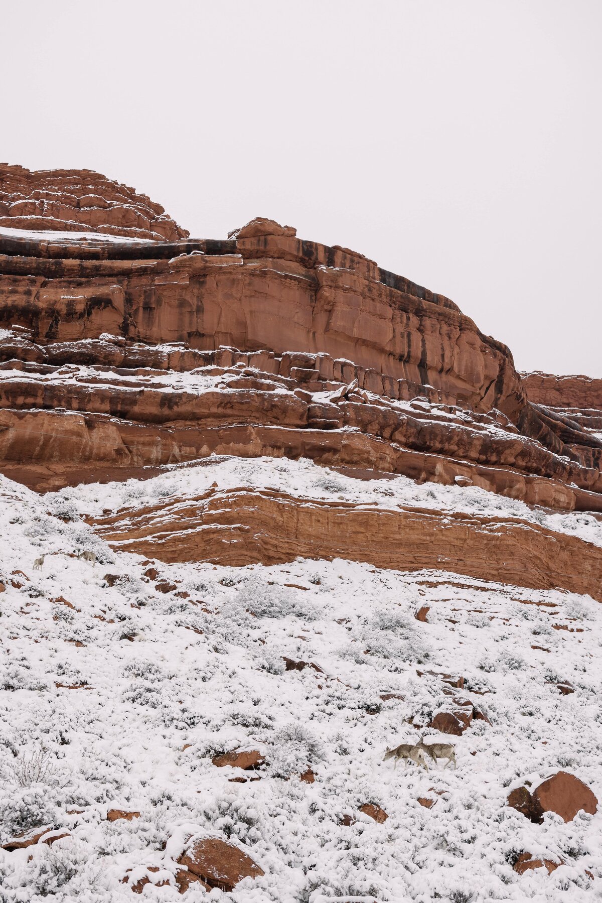 Wyoming winter elopement location