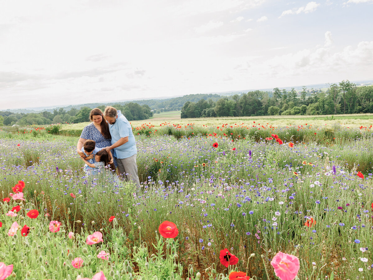 Wildflower Lilli_Web Size-7