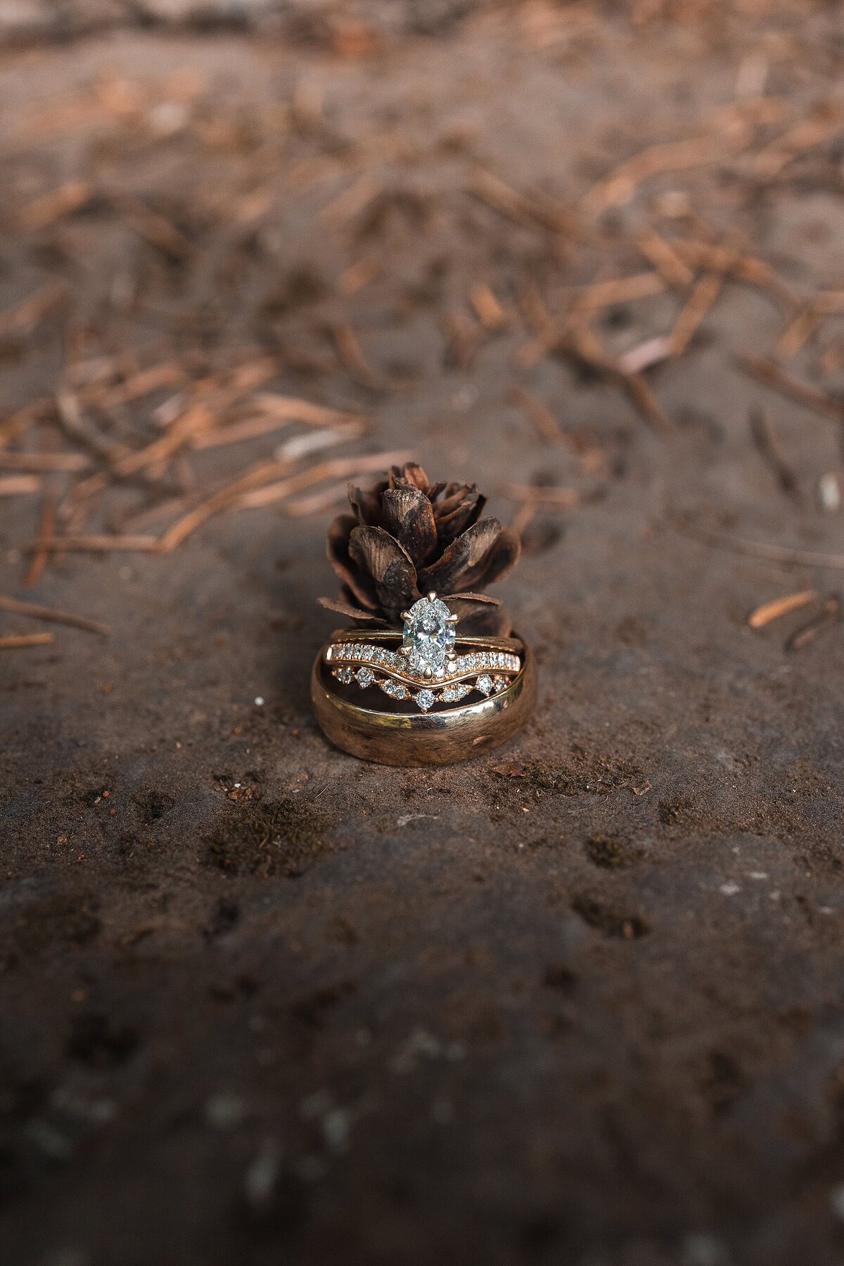 umpqua-forest-elopement-taylor-christine-photography_2111