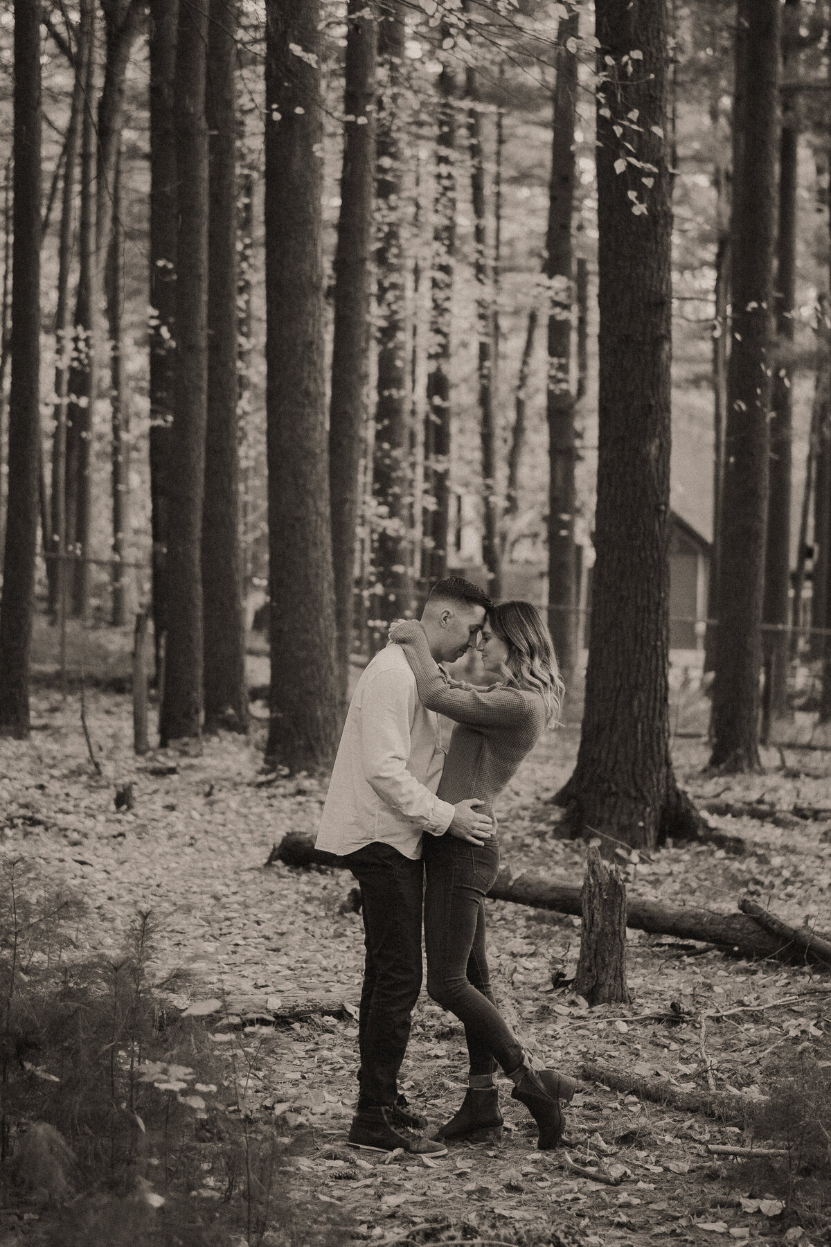 prosserpines-04055