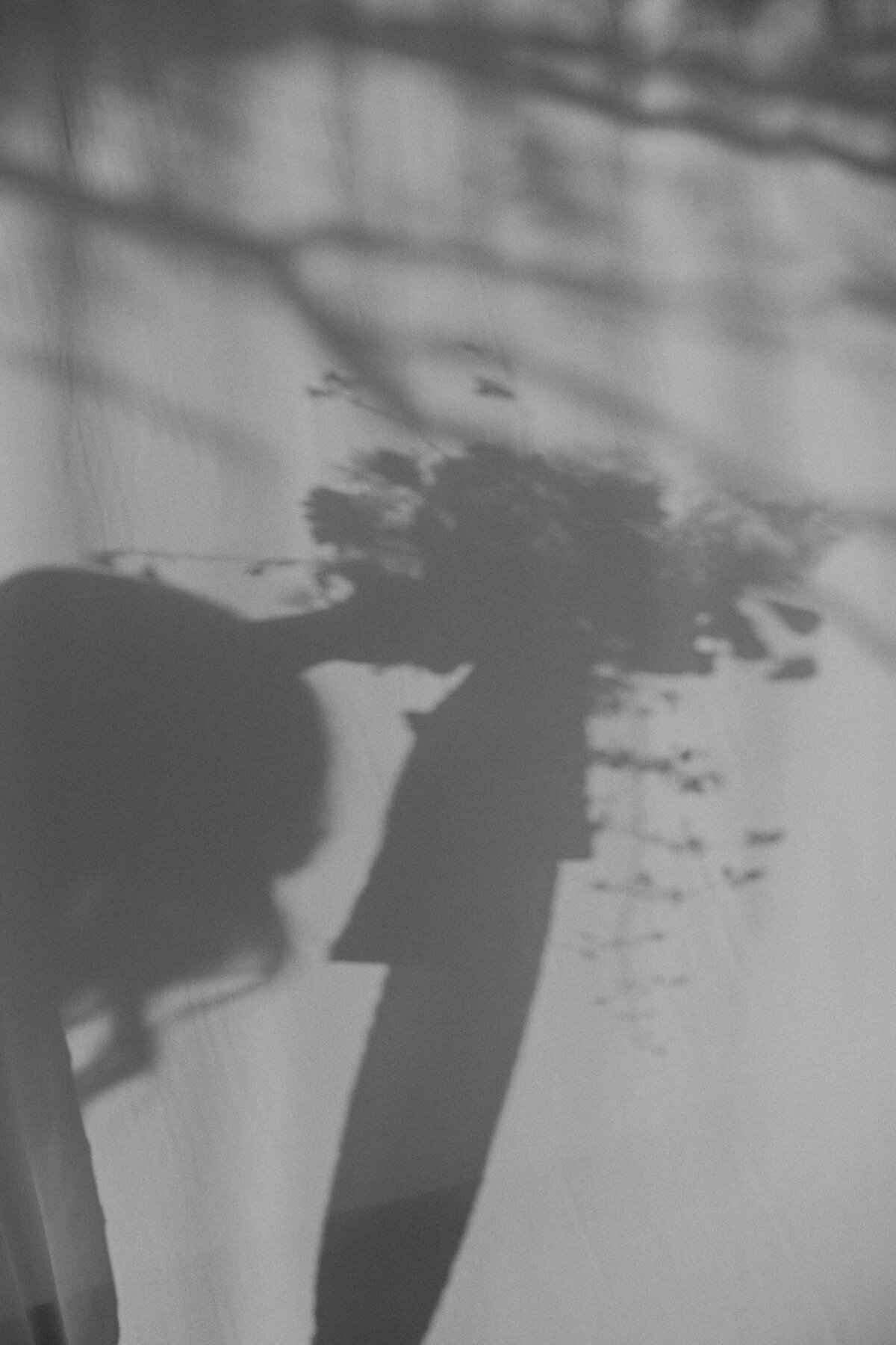 2O4A9355