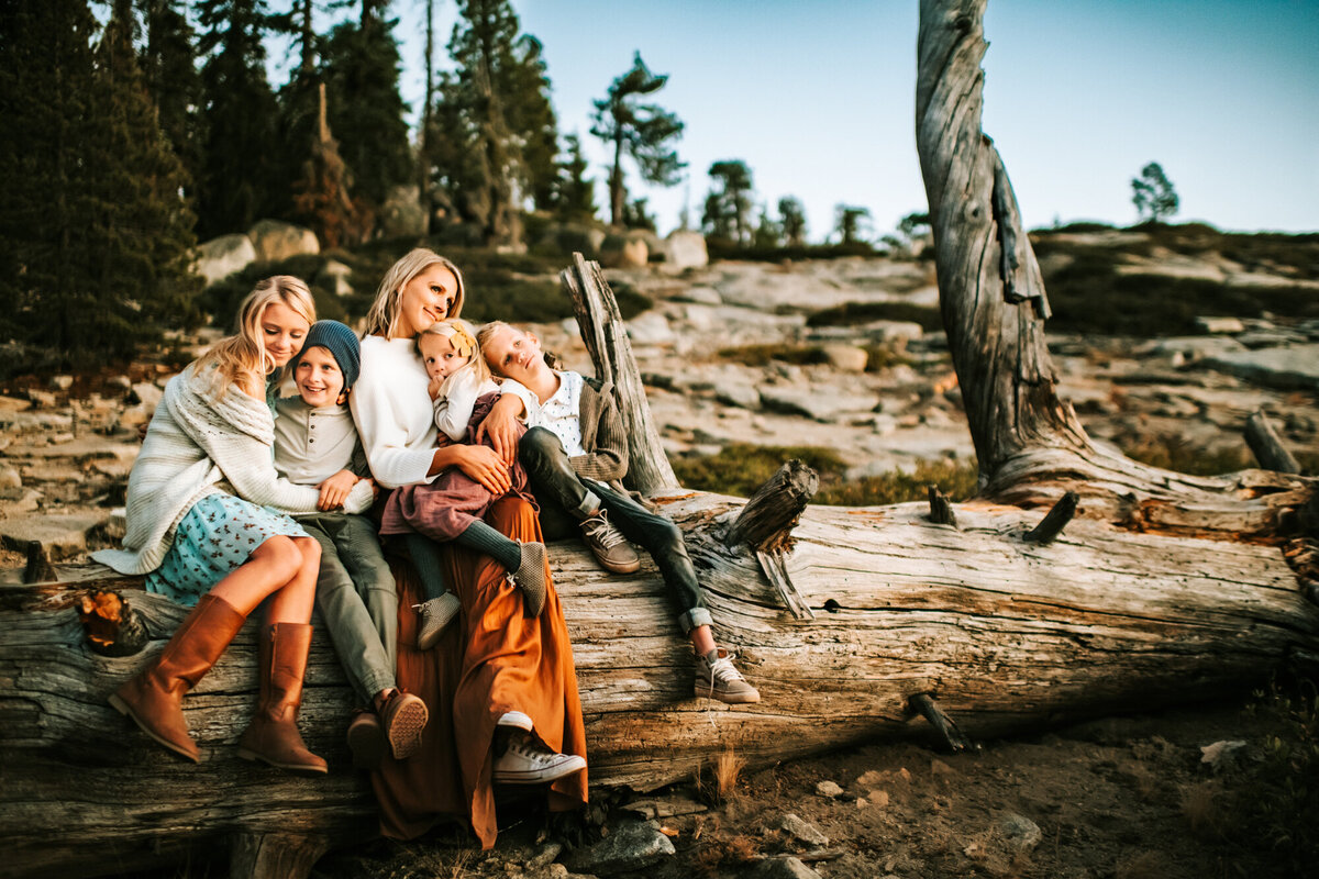 Family Photographer, Family snuggling on a log together at Yosemite Park.