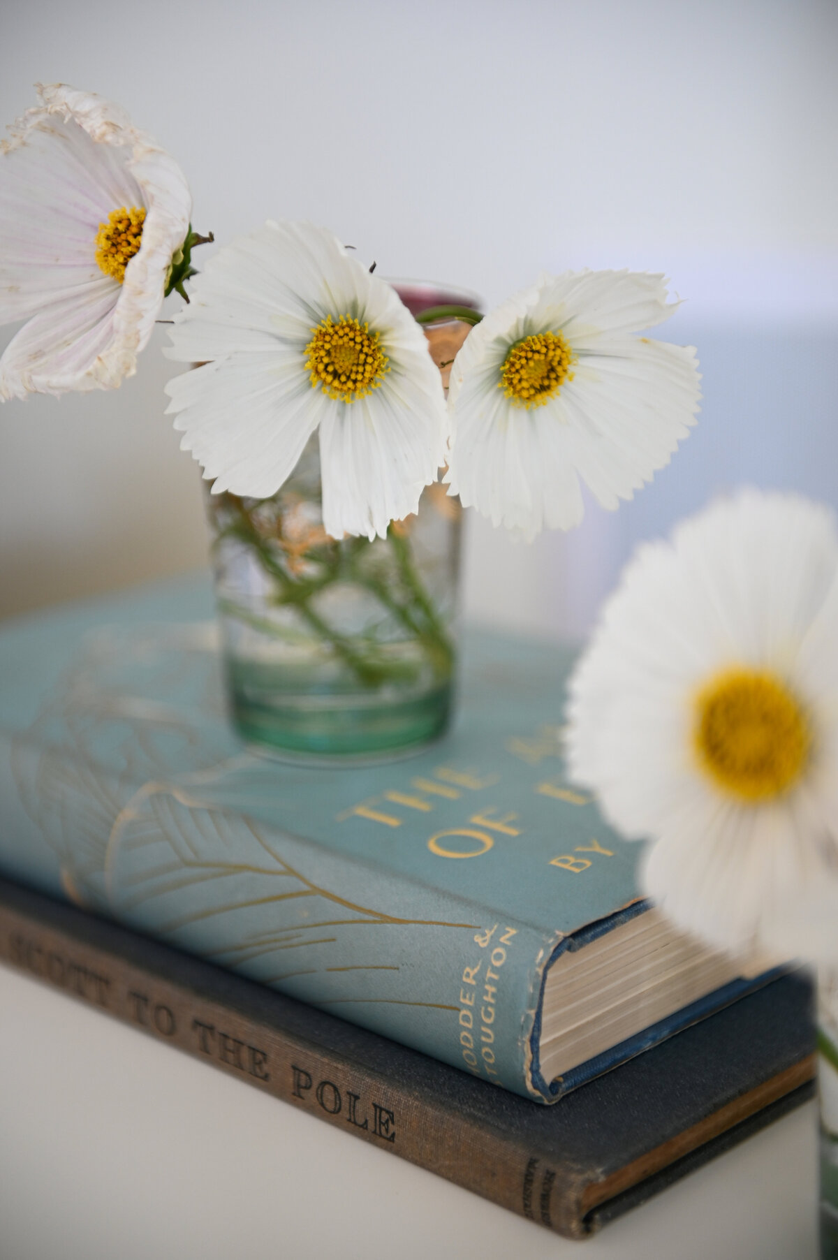 FL Country Estate_17