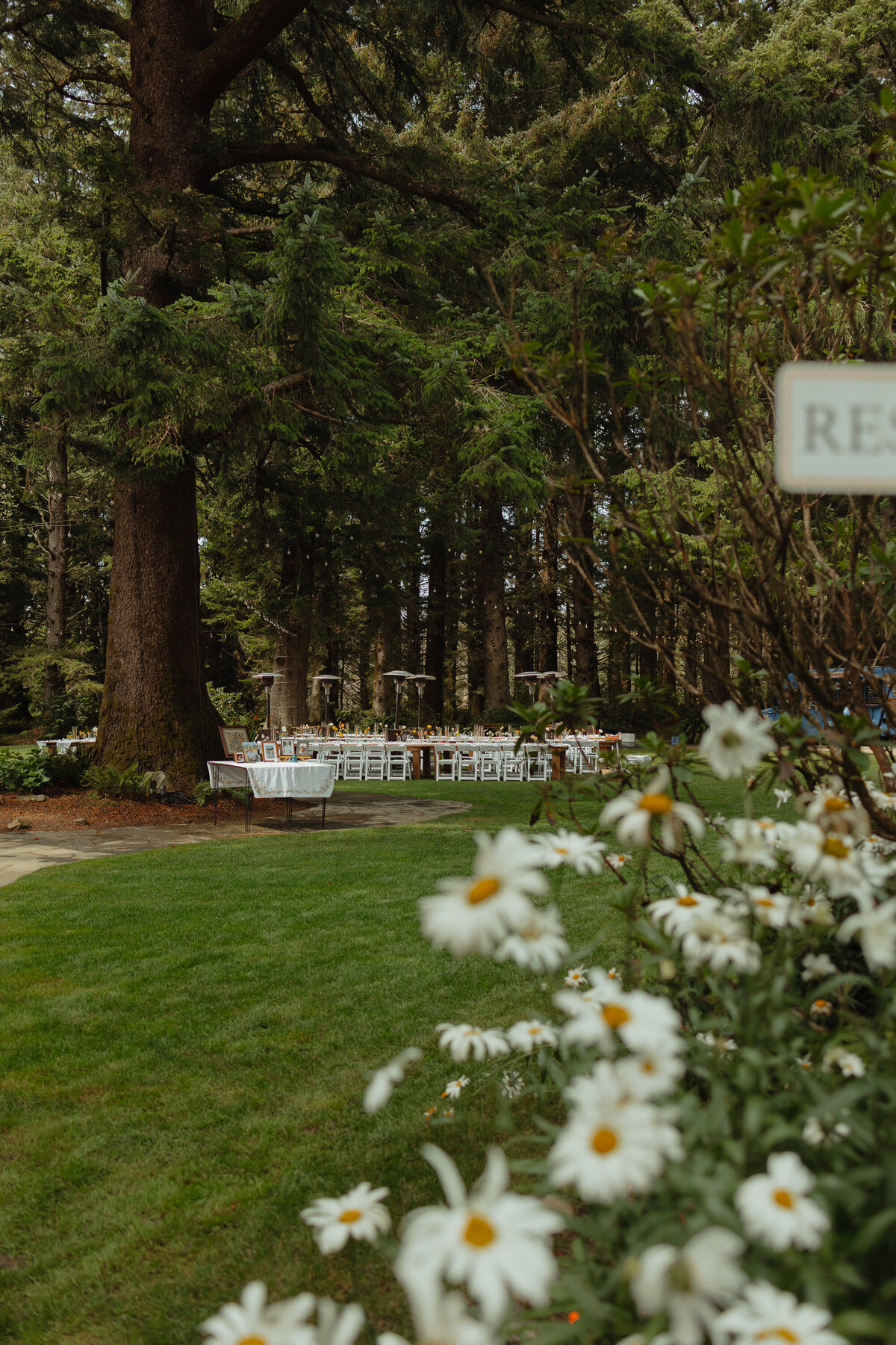 Plecker Wedding-25
