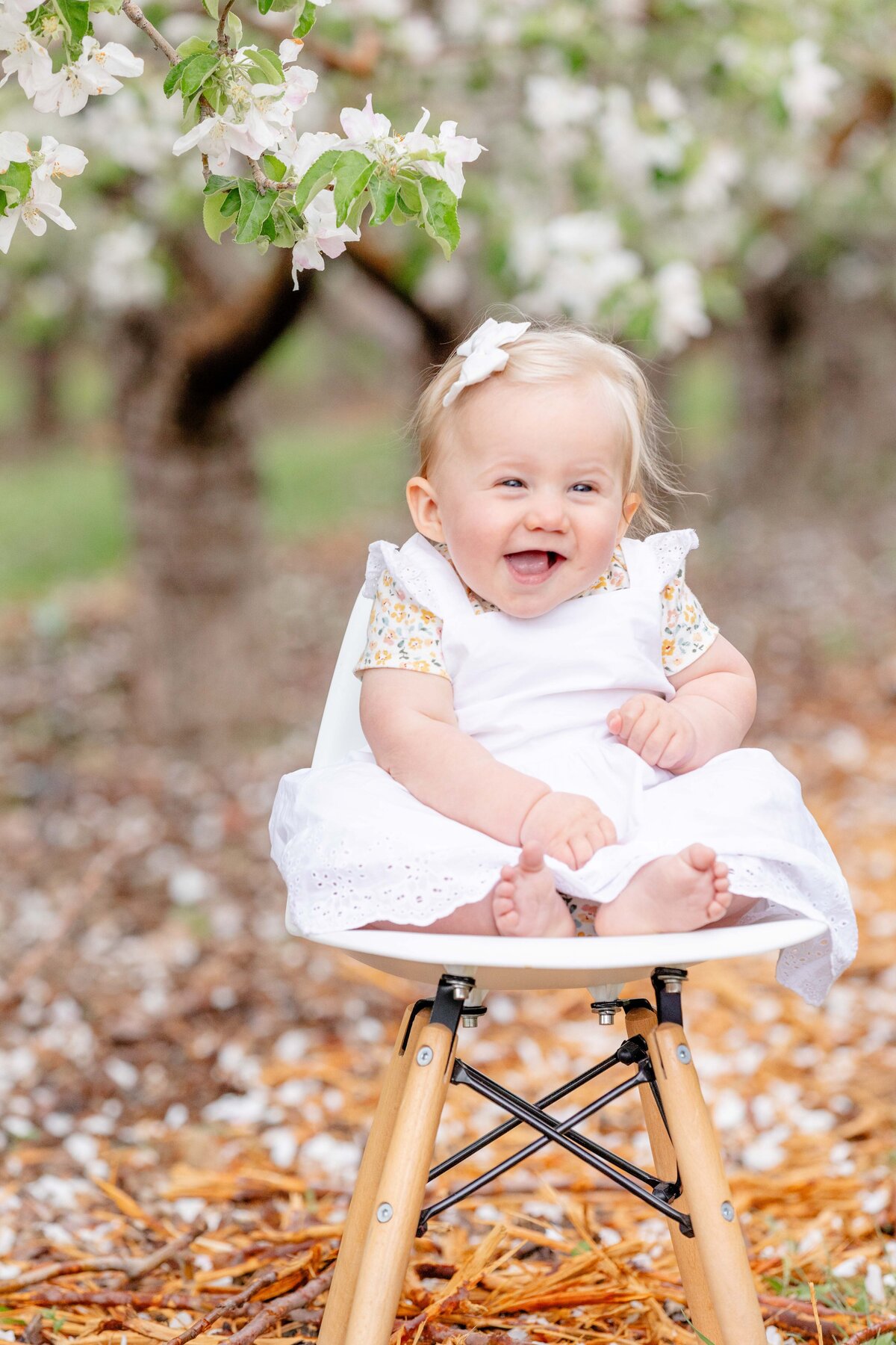 Utah-County-UT-Cherry-Blossom-Spring-Mini-Session-Magnolia-and-Grace-Photography-Co-MS# (1)-10