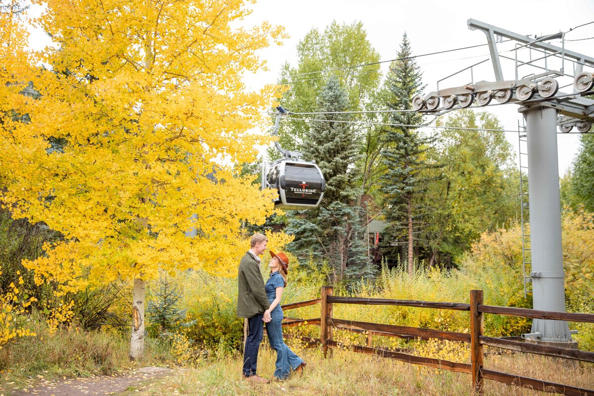 Telluride engagements