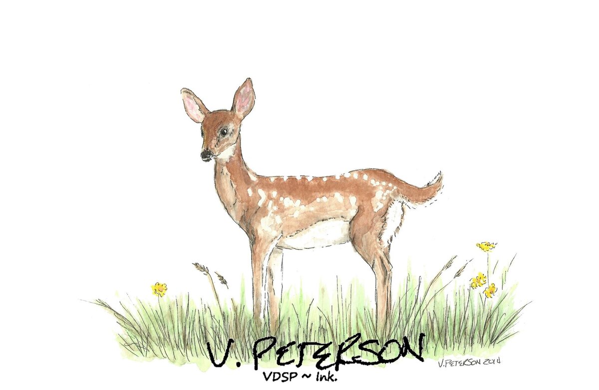 ohdeer