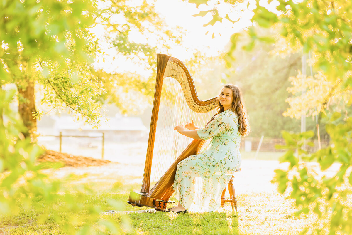 senior-girl-harp-bright-nature-photography