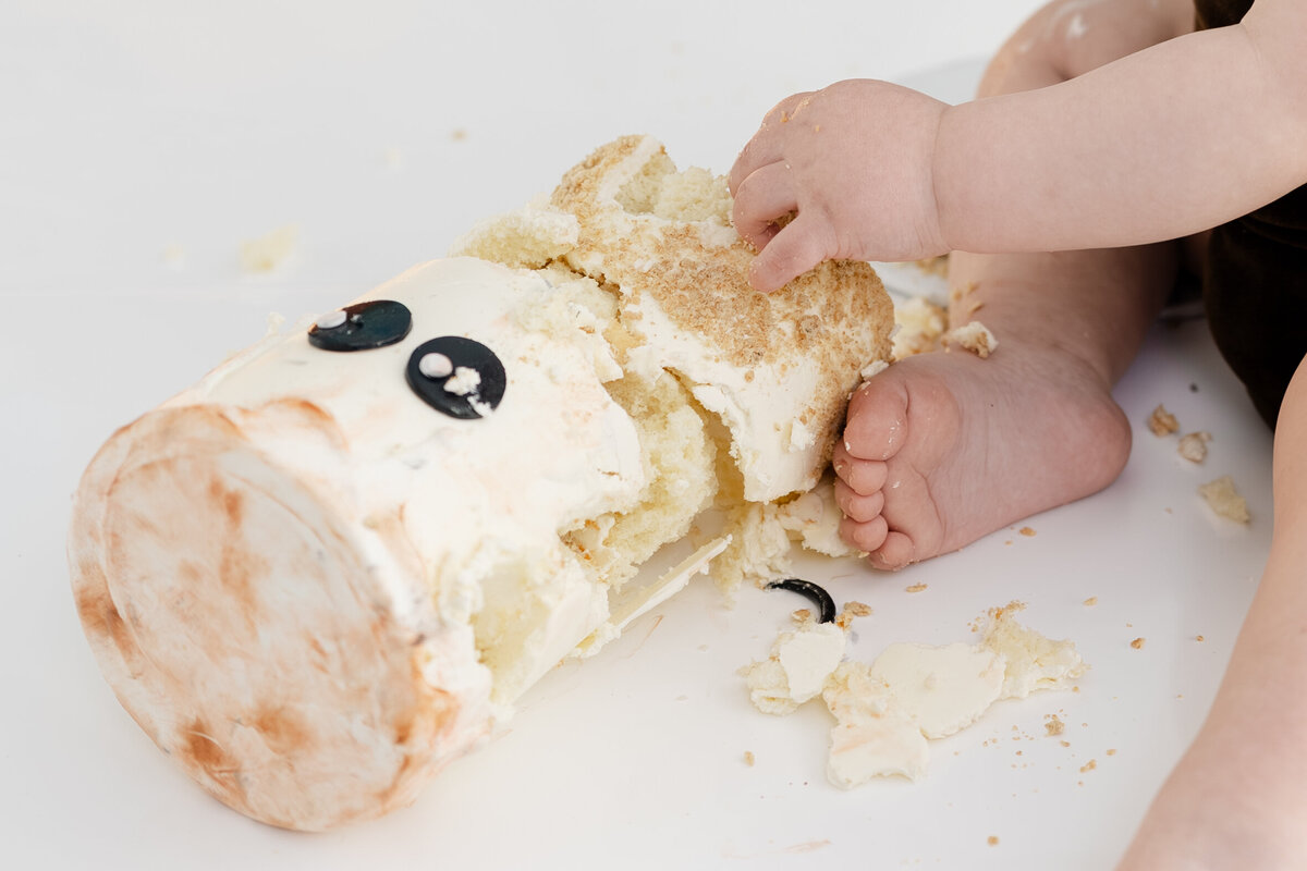 Cake Smash and Splash - Logan-33
