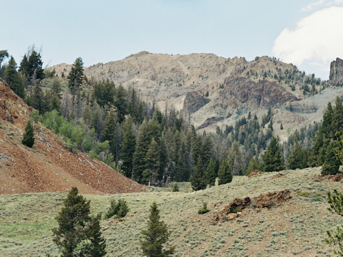 Boise Wedding Photographer (8 of 511)