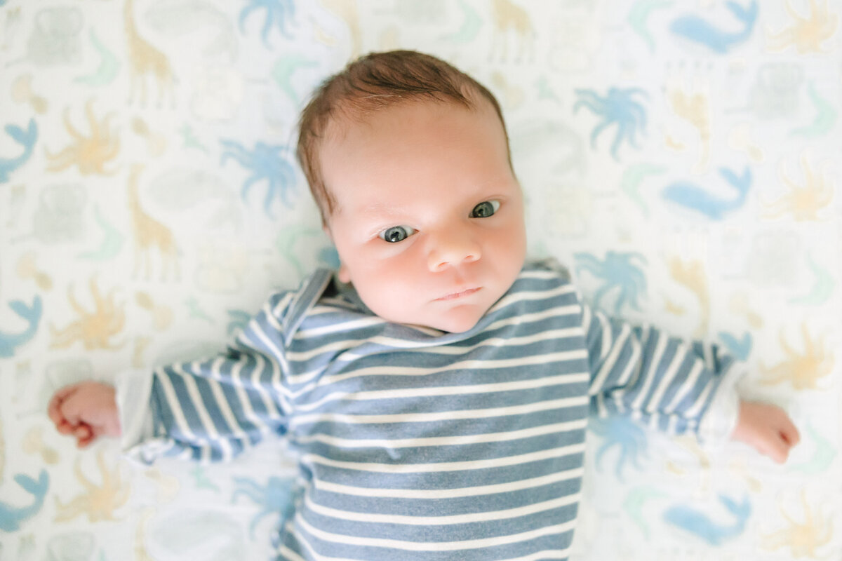 Newell Newborn - Theo-58