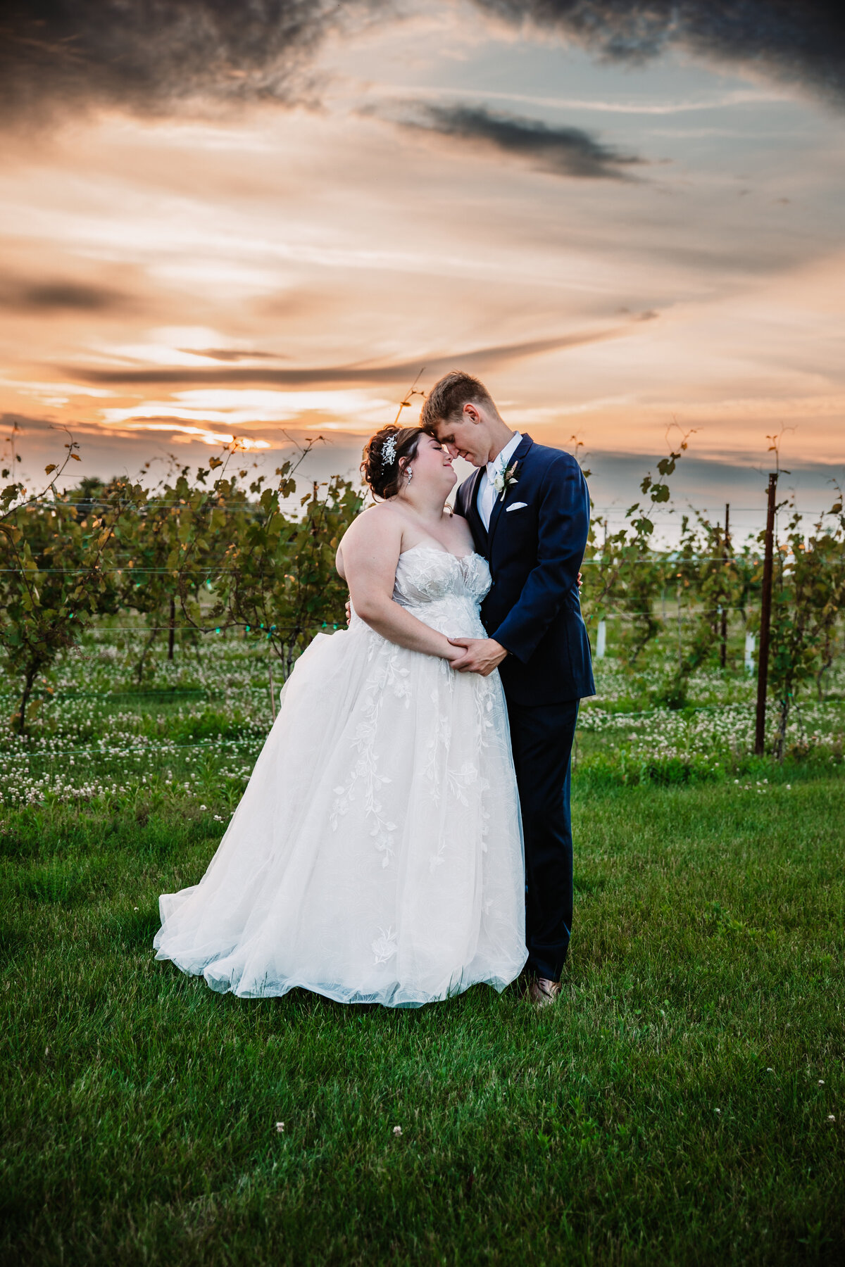 Newlyweds touch noses and snuggle at sunset in a vineyard