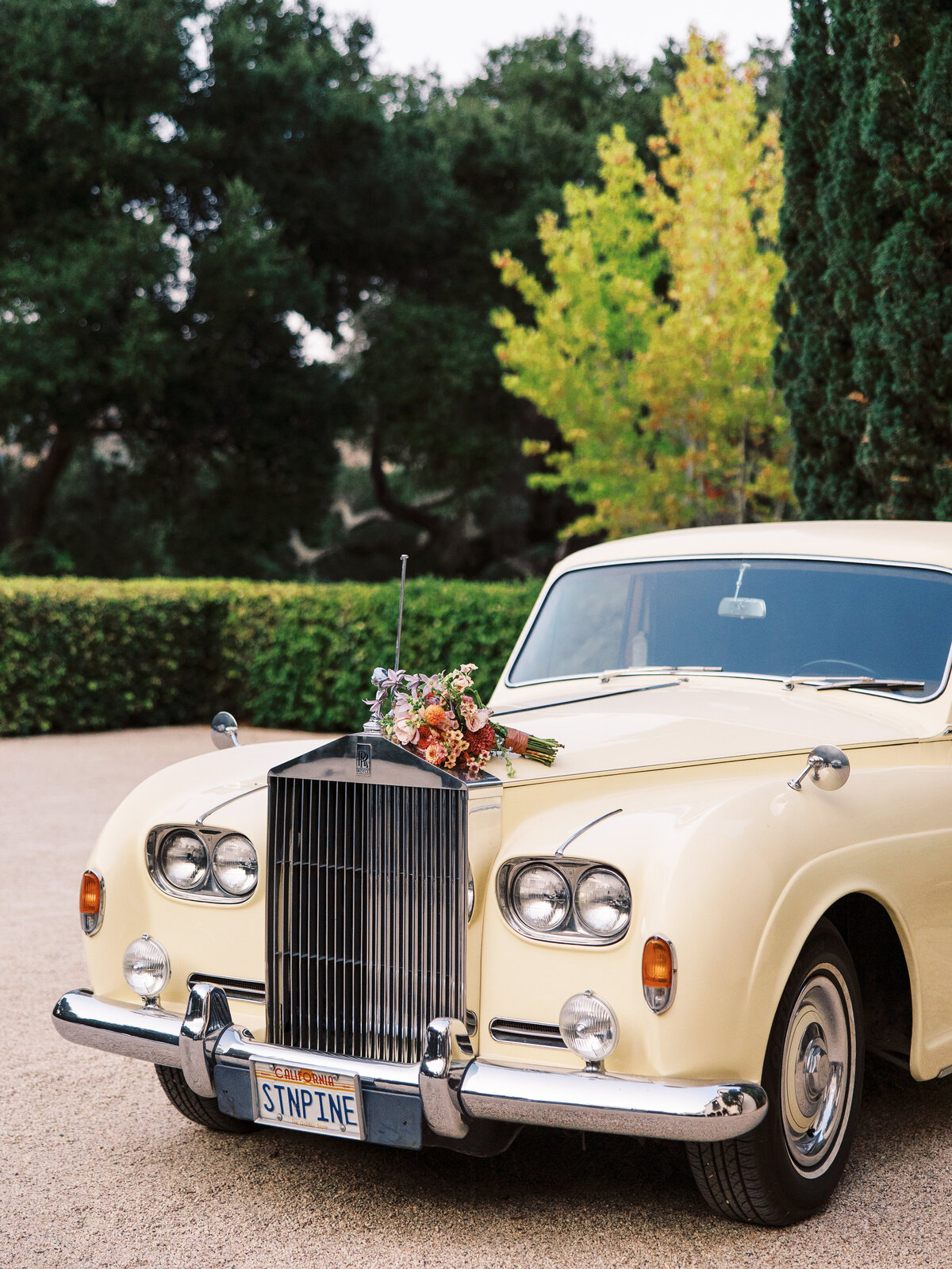 BreJanePhotography-Steph-Will-Wedding-StonePineEstate683