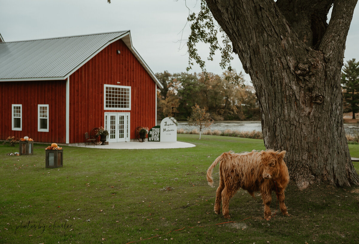 WISCONSIN WEDDING PHOTOGRAPHER-11