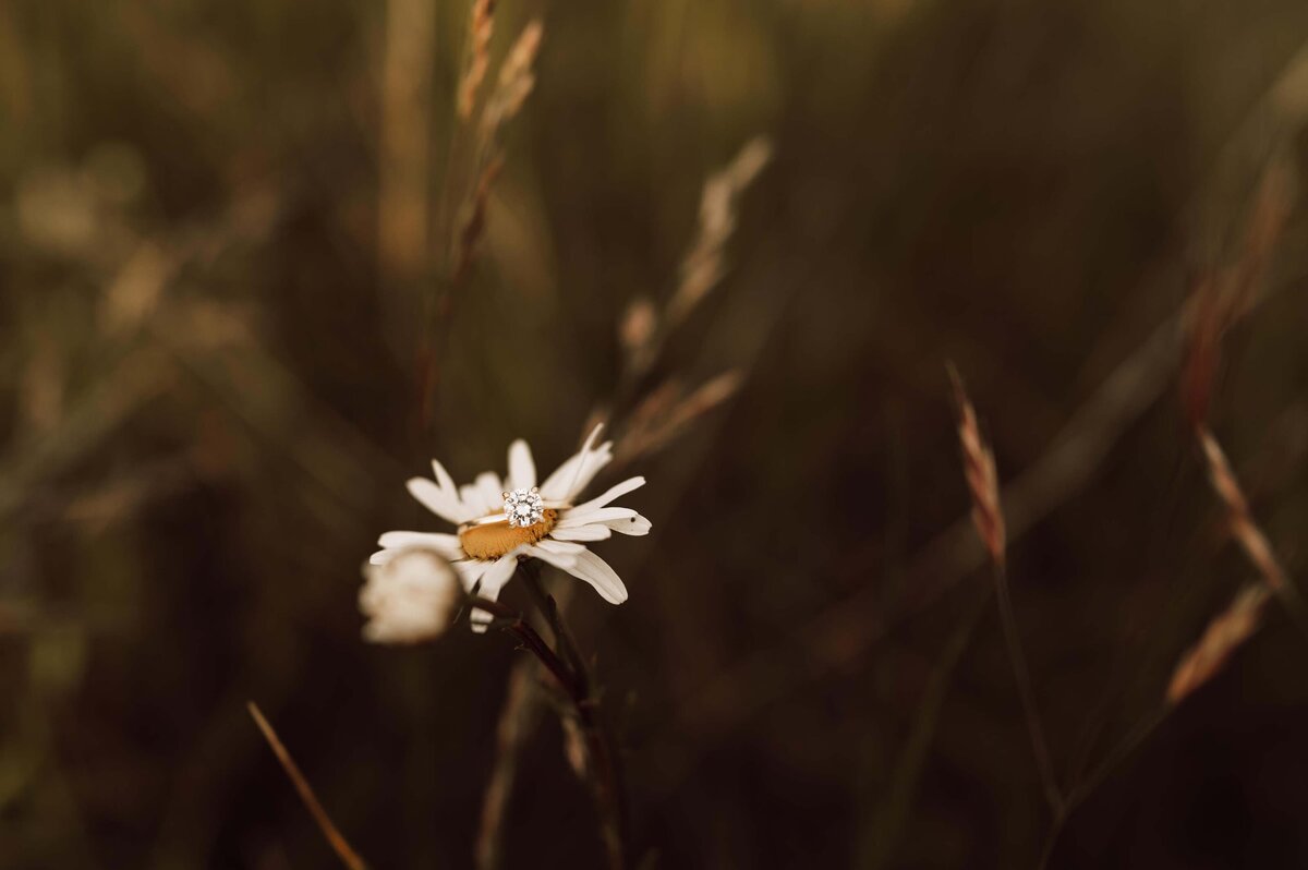 Oregon Wedding Photographer Poppy Rose141
