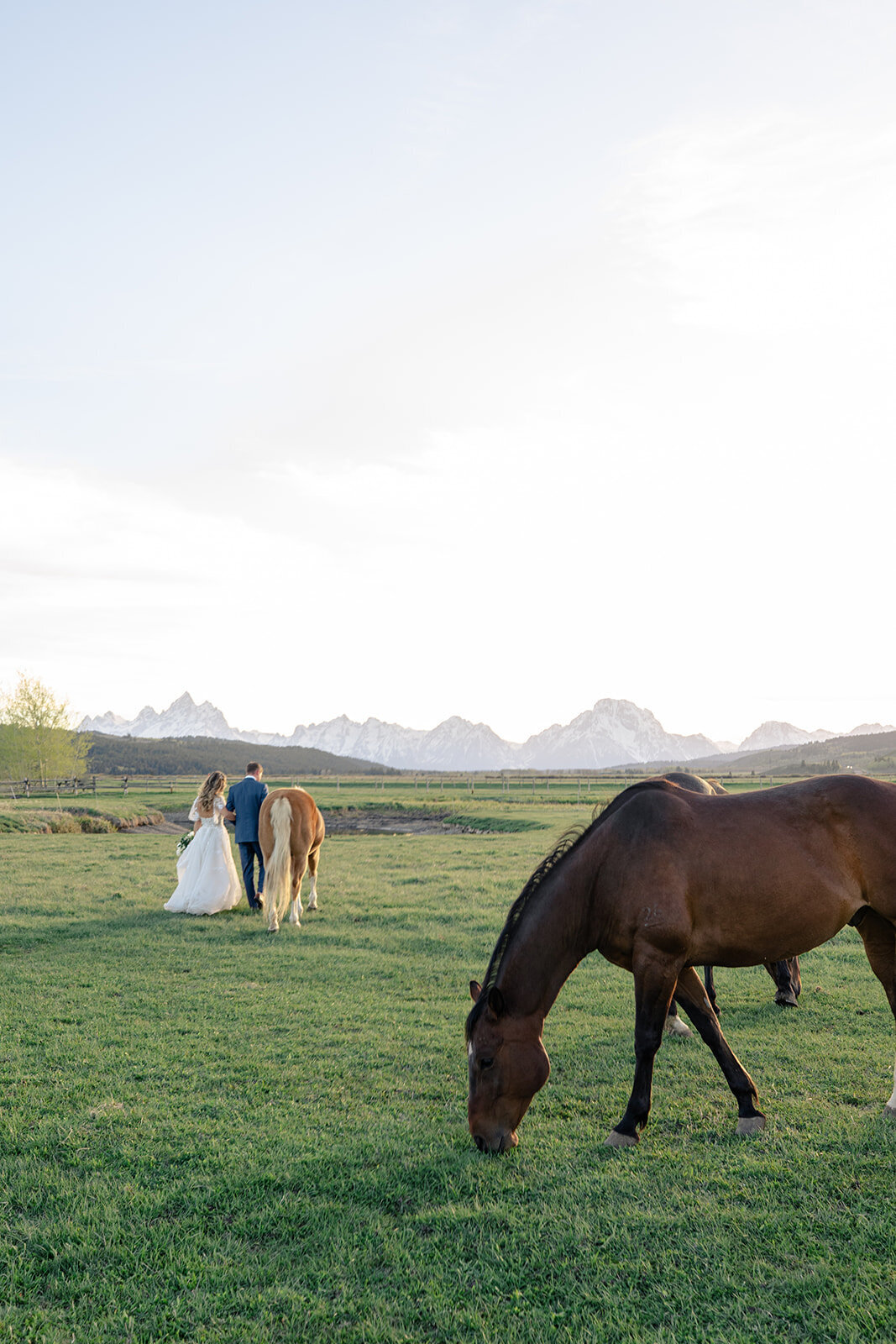 Diamond-cross-ranch-wedding-J-NFoxtails-photography-147