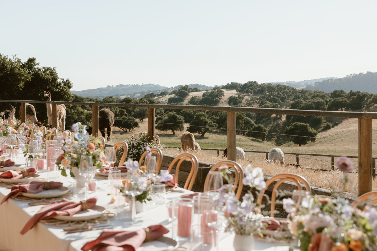 Colorful-Summer-Ranch-Wedding30