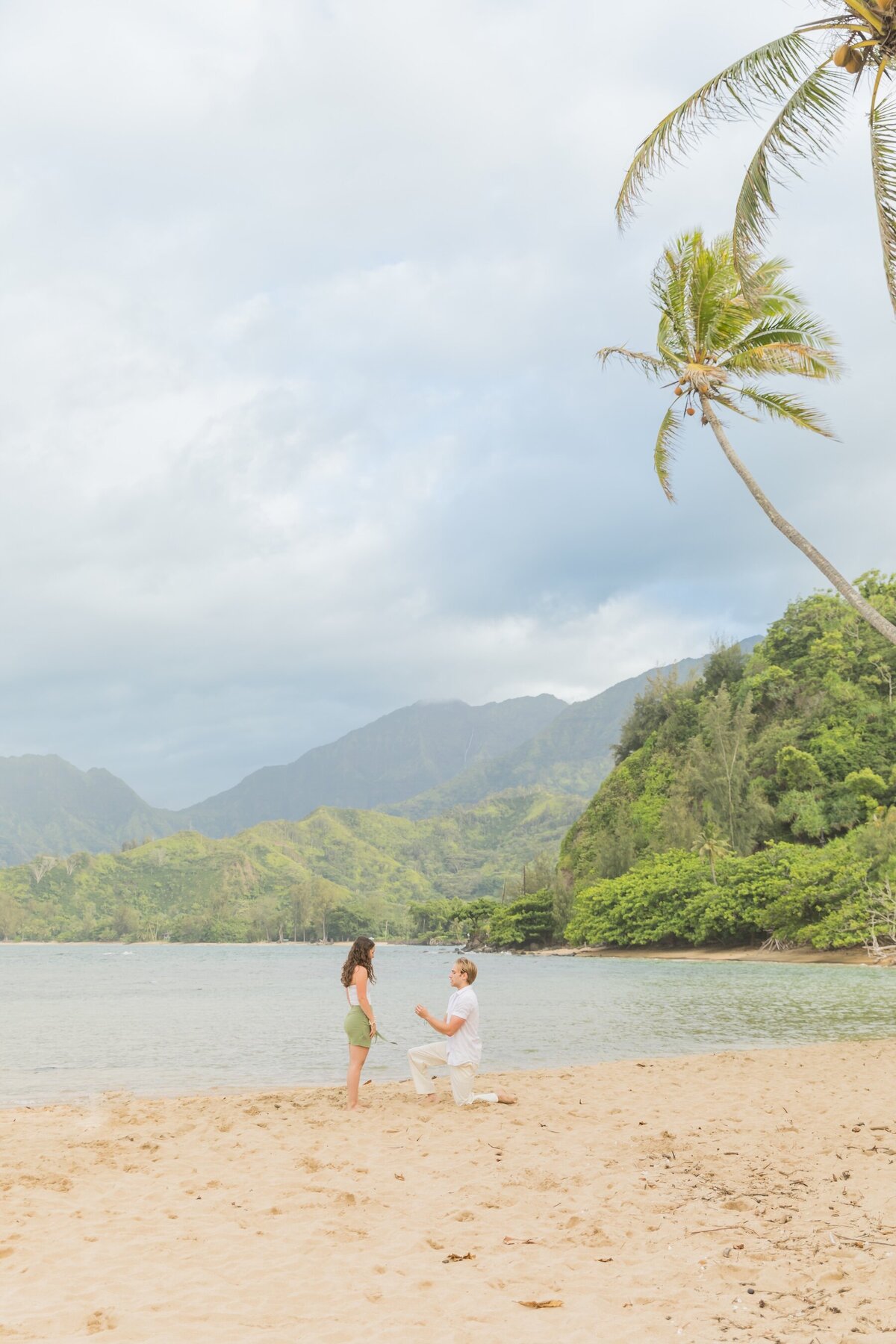 Kauai Couples Portraits  6953