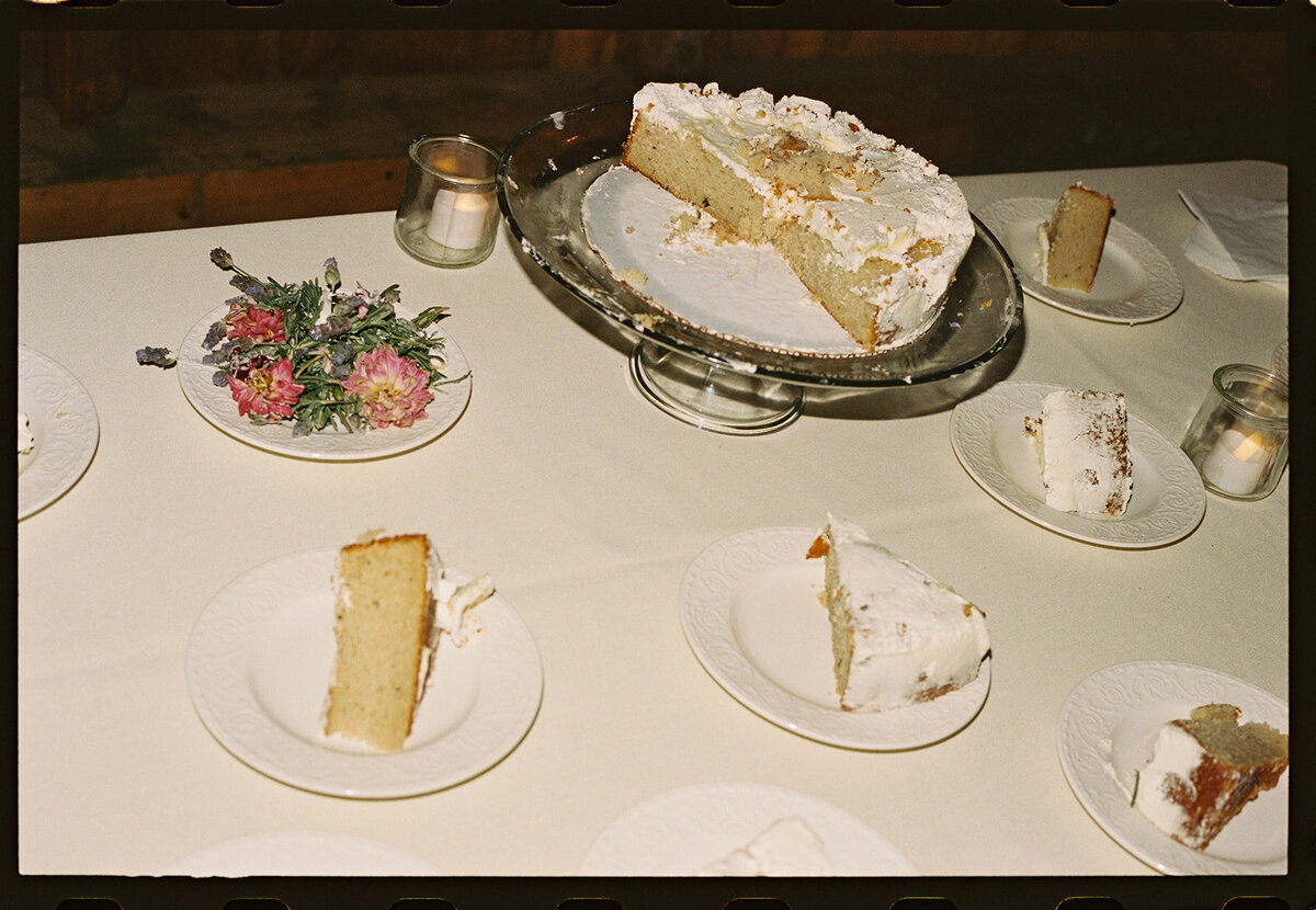 luna-munn-photography-intervale-burlington-vermont-tekla-zach-film-45_websize