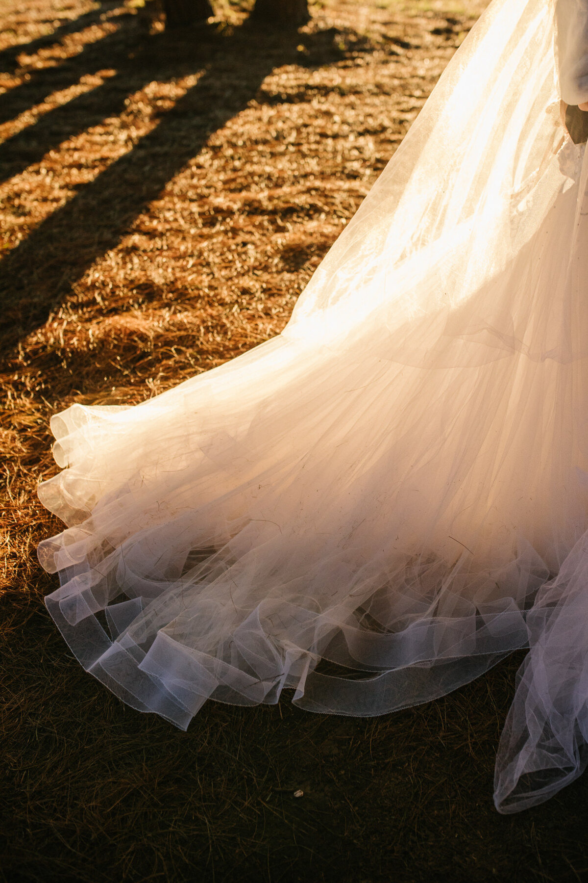 Bride's tulle dress in soft sunset light.