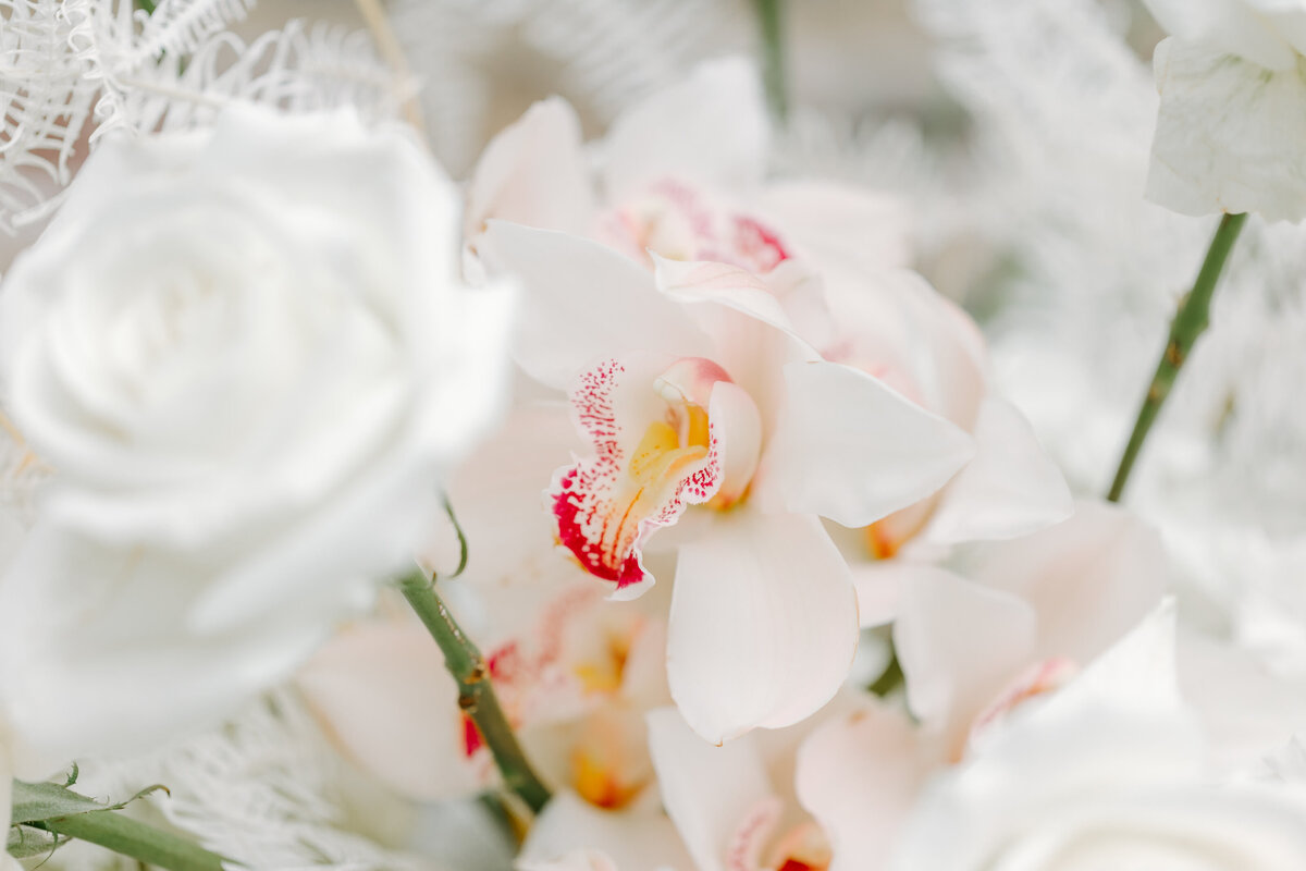 The-Dewberry-Wedding-Shayna-Phil65515