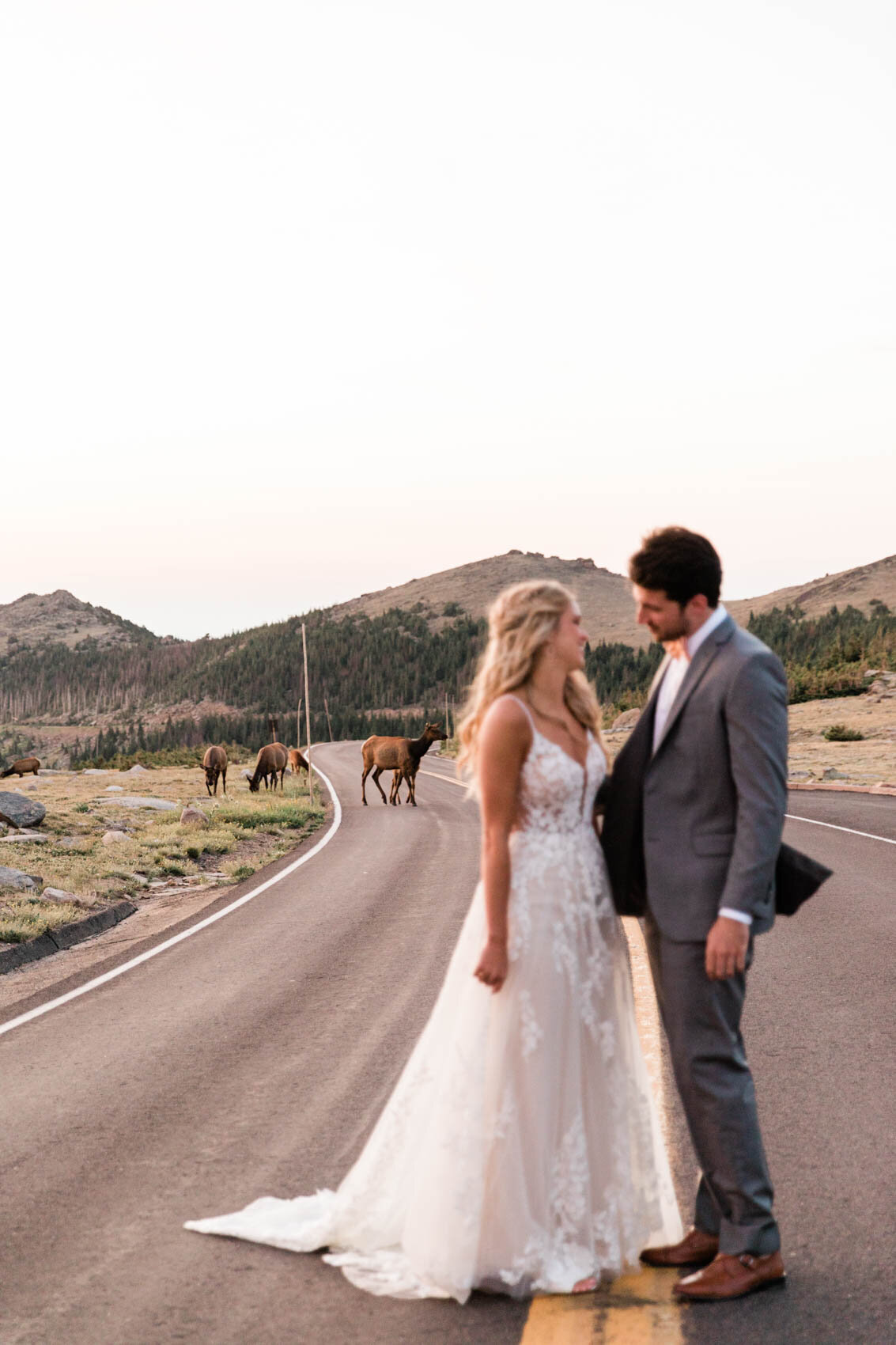 rocky_mountain_national_park_trail_ridge_road_summer_sunrise_elopement_by_colorado_wedding_photographer_diana_coulter-7