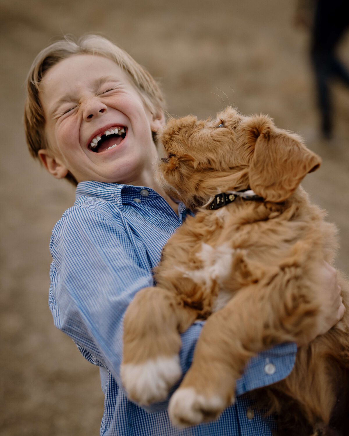 11.17.24 Brosnan Family-26