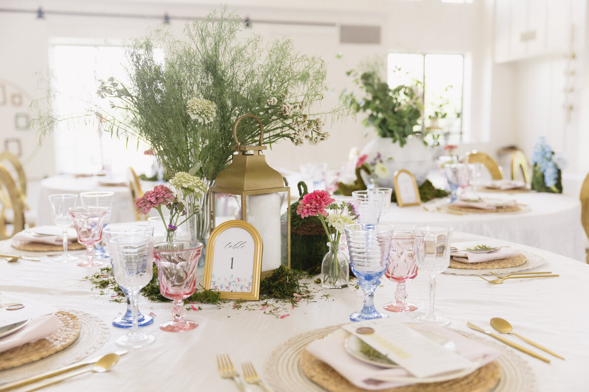 WhiteIronRidge-AlyssaGHenryPhotography-325 (1)