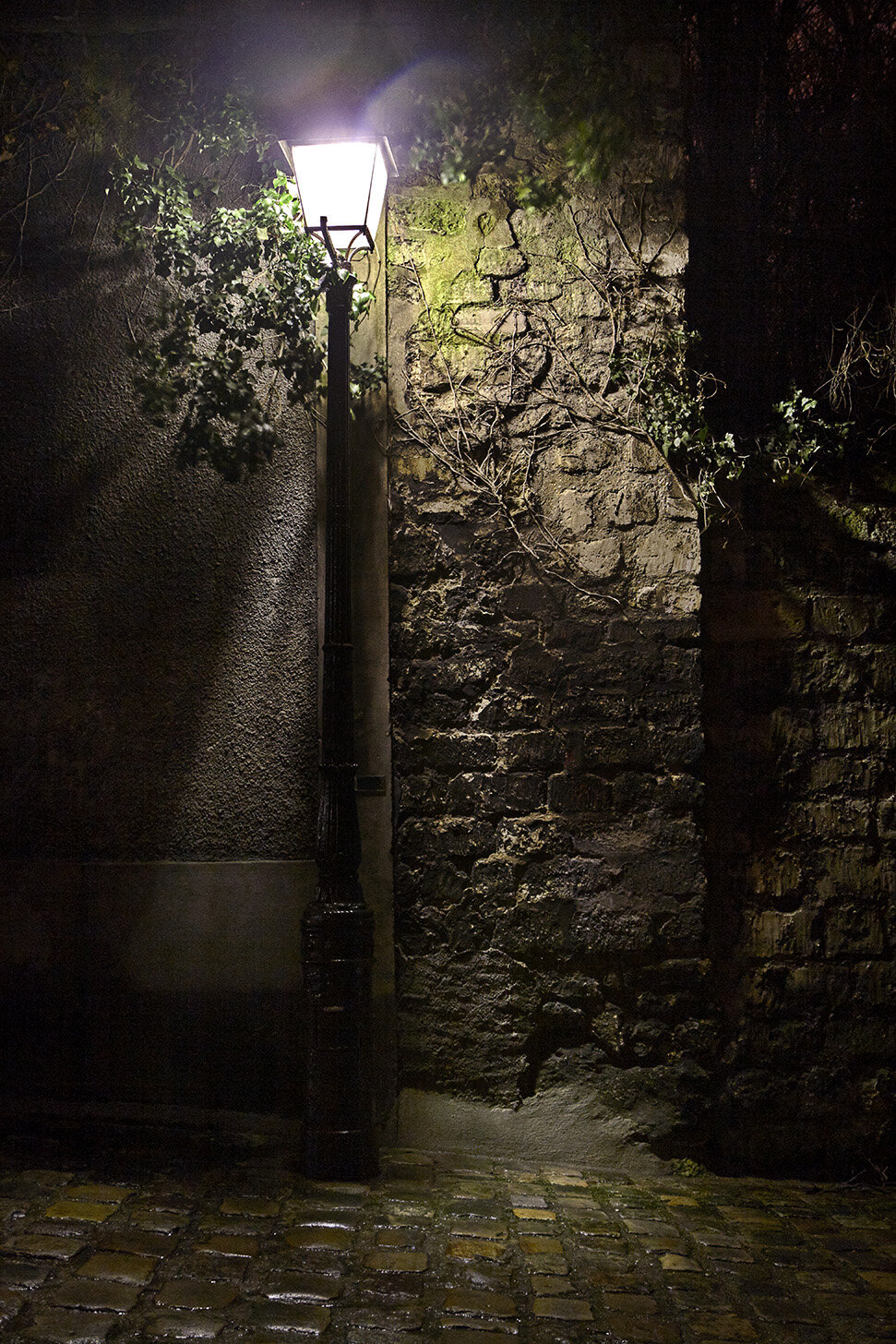 20090203_PARIS_092_01