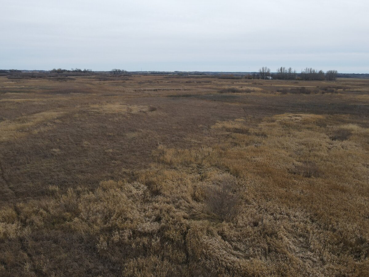 DJI_0159