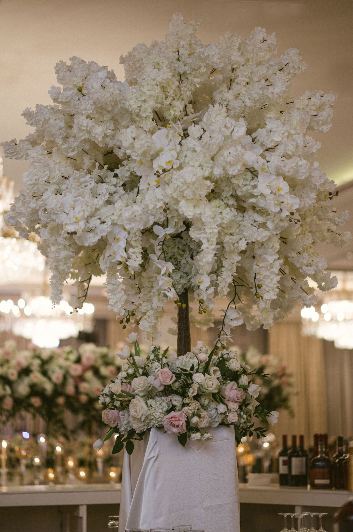 ScarletRavenPhotography(13of35)