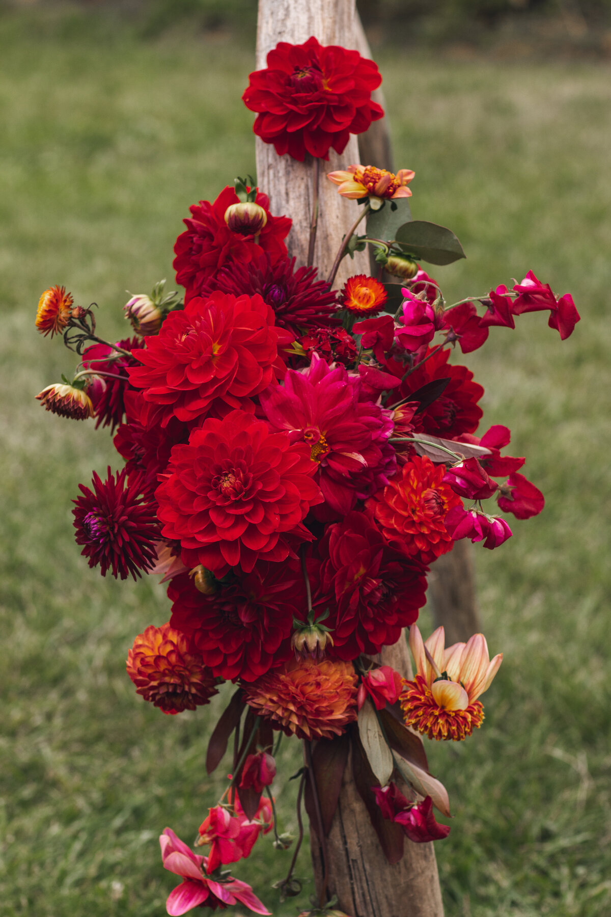 wild-flowers-wedding-arch-documentary-Captain-Whidbey-jennifer-moreno-photography-washington