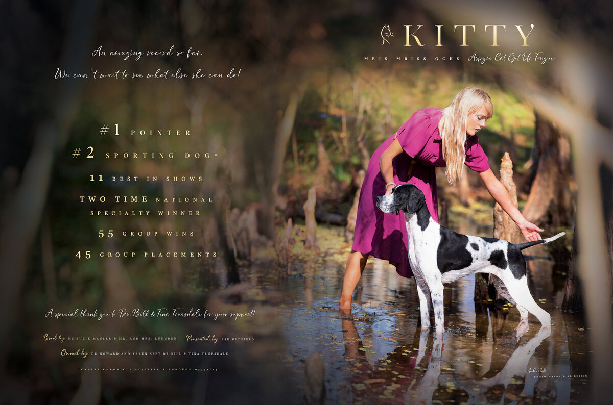 Kitty Dog News June 2023 2 rgbb