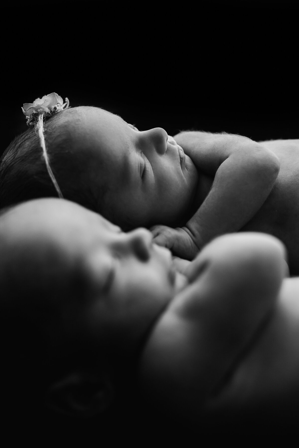 Loudoun County Newborn Photographer-22
