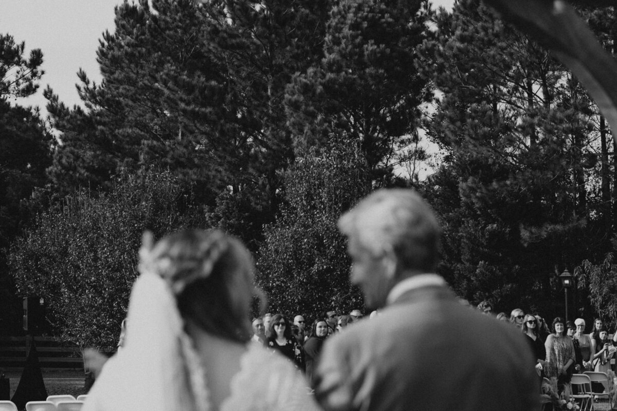 IMG_8627