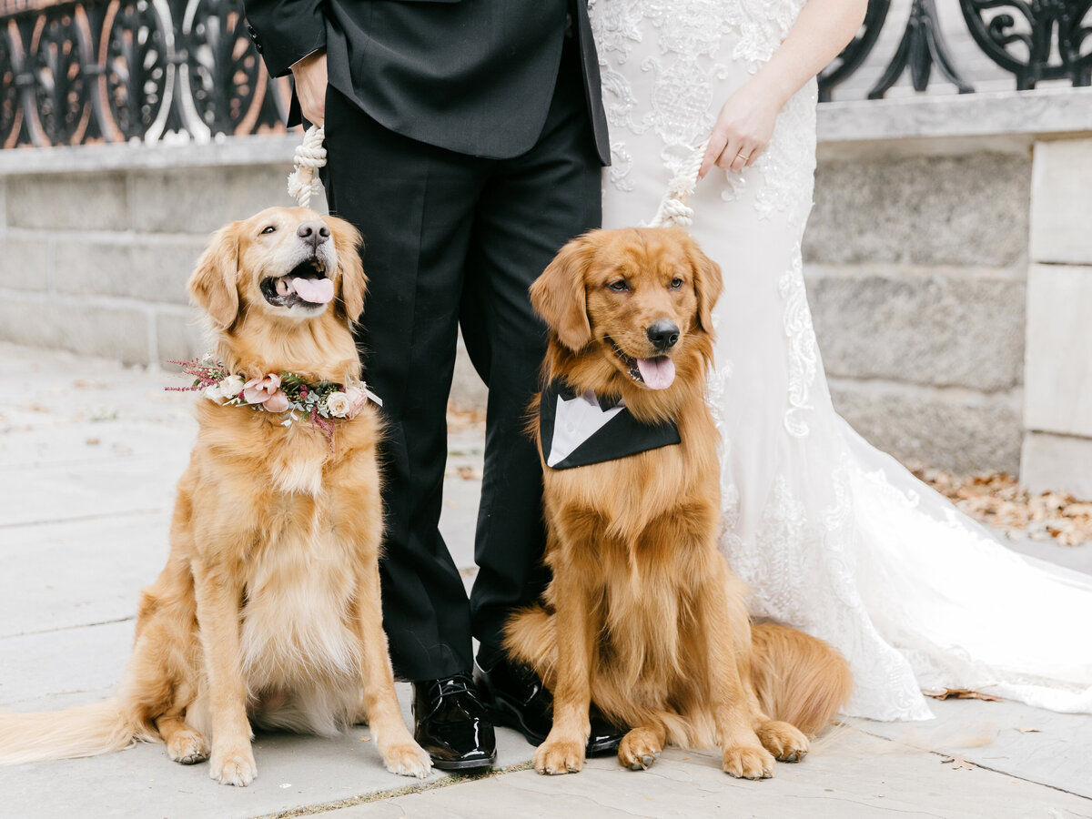 EmilyWrenPhotography-Associate-Sarah-112