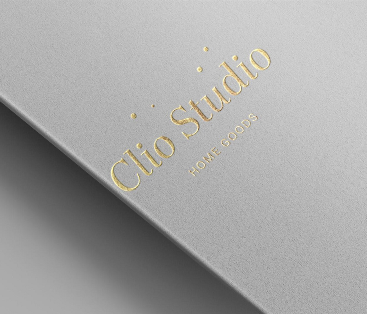 Logo Design_Brand Logo_Logotype