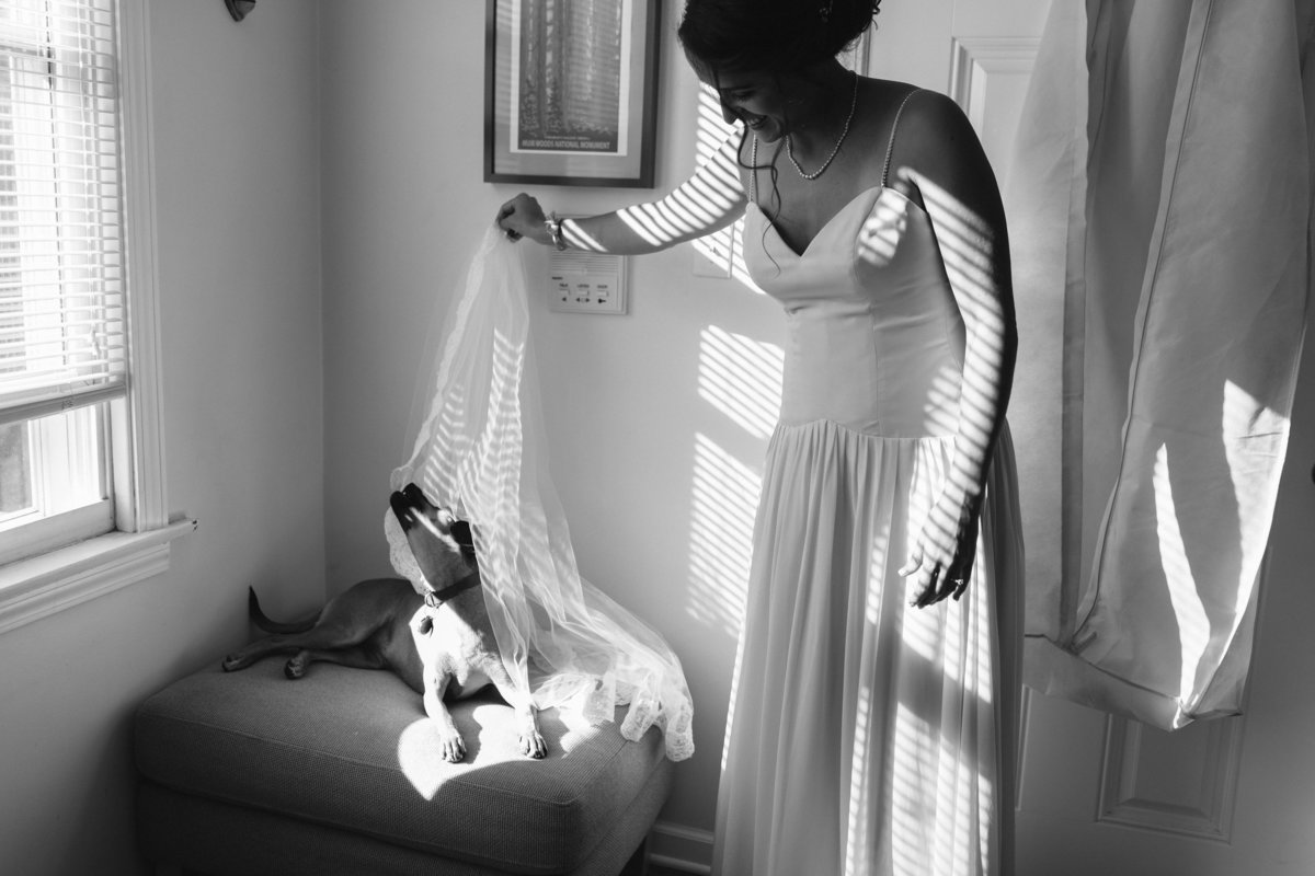 REVOLUTION-BREWERY-WEDDING-PHOTOGRAPHY-BY-MEGAN-SAUL-PHOTOGRAPHY-HIGHLIGHTS(54of307)