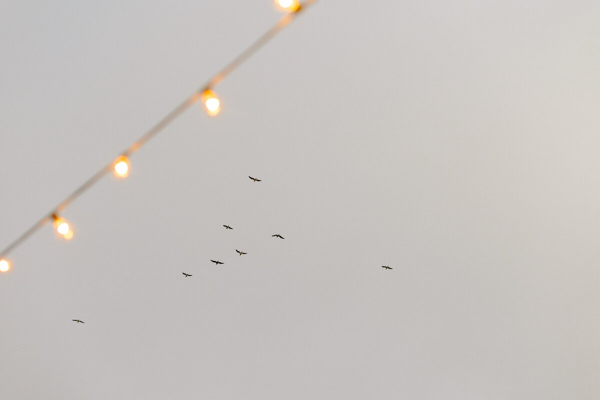 29-ChristineBrianWeddingEdits-755