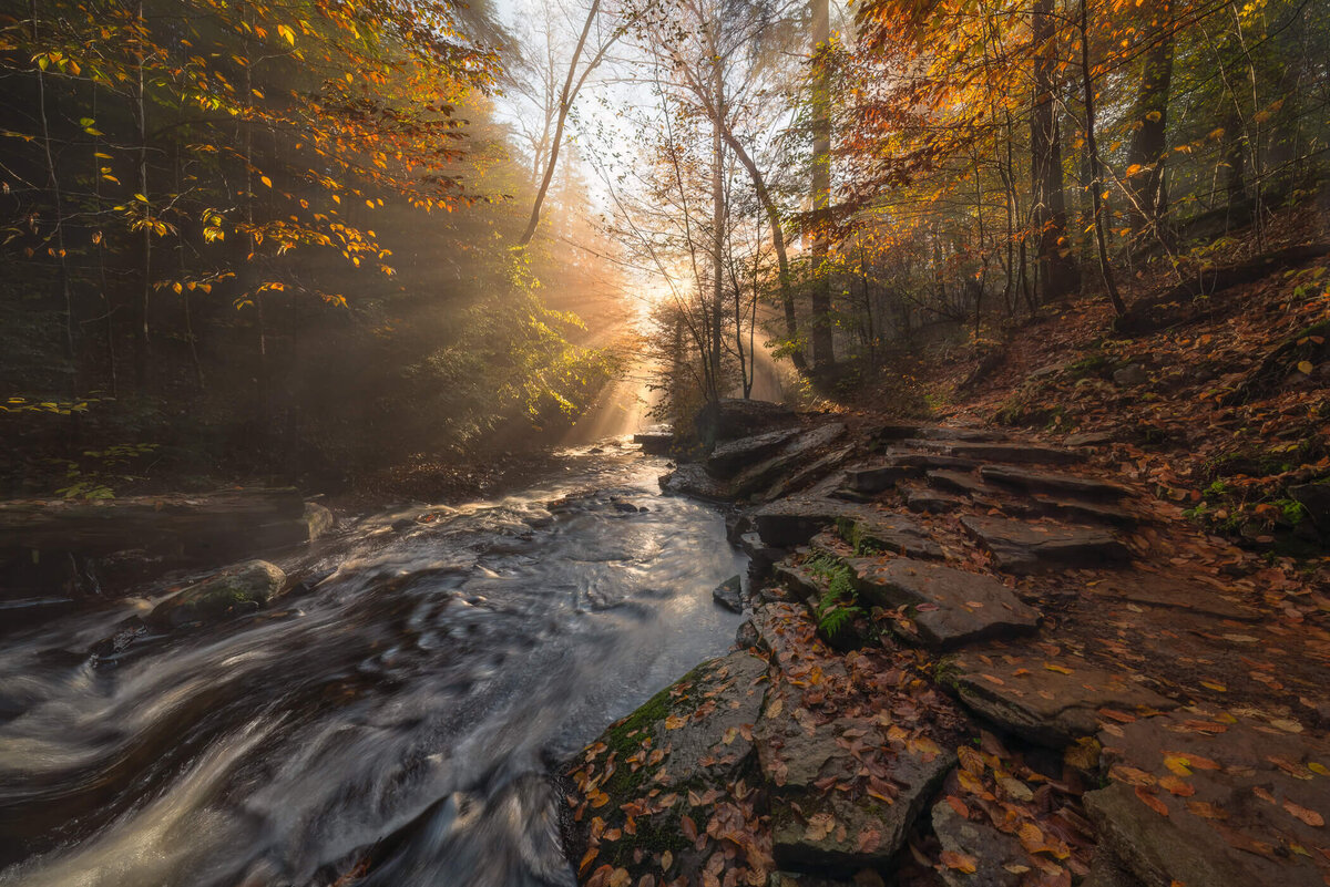 Appalachia-Pennsylvania-PA-Poconos-Landscape-Nature-Photography-Chrissy-Donadi-13