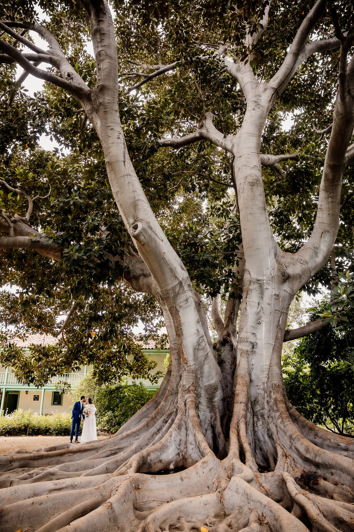 Archer Inspired Photography - Rachel and Alex Wedding - Rancho Los Cerritos Historic Site - Long Beach - Couple Photos-200