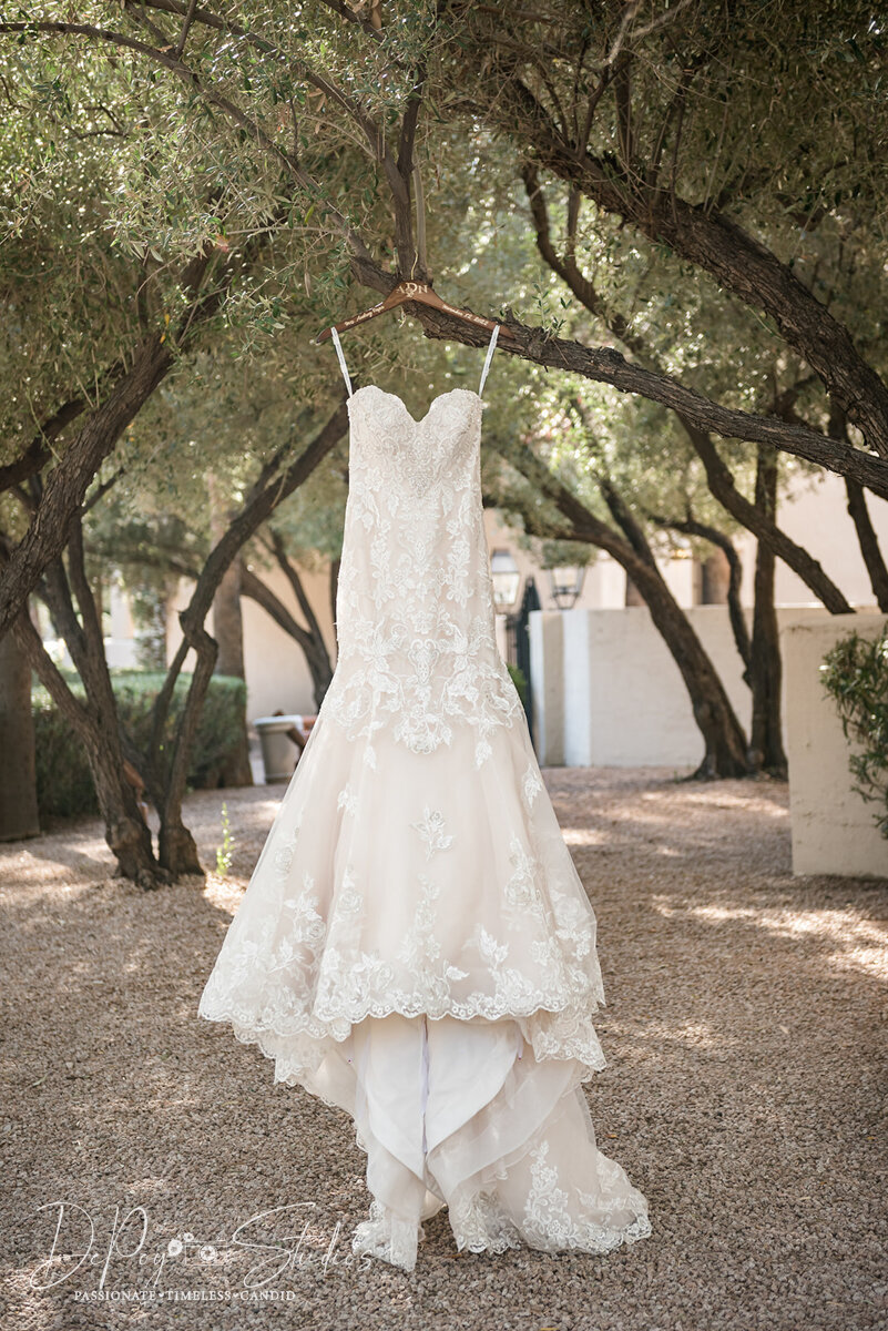 Scottsdale wedding photographer, DePoy Studios-2