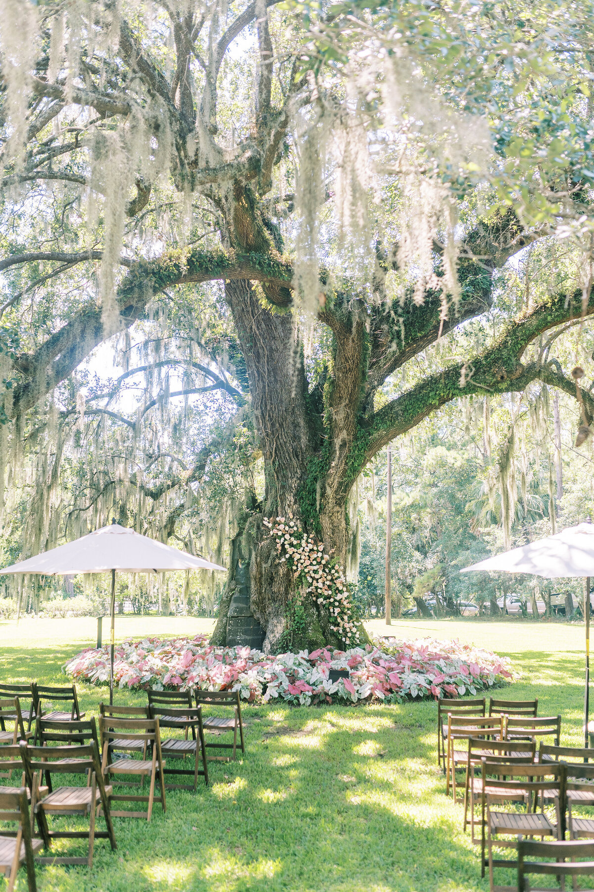 Kathryn + Will | Wedding at Magnolia Plantation by Pure Luxe Bride: Charleston Wedding and Event Planners